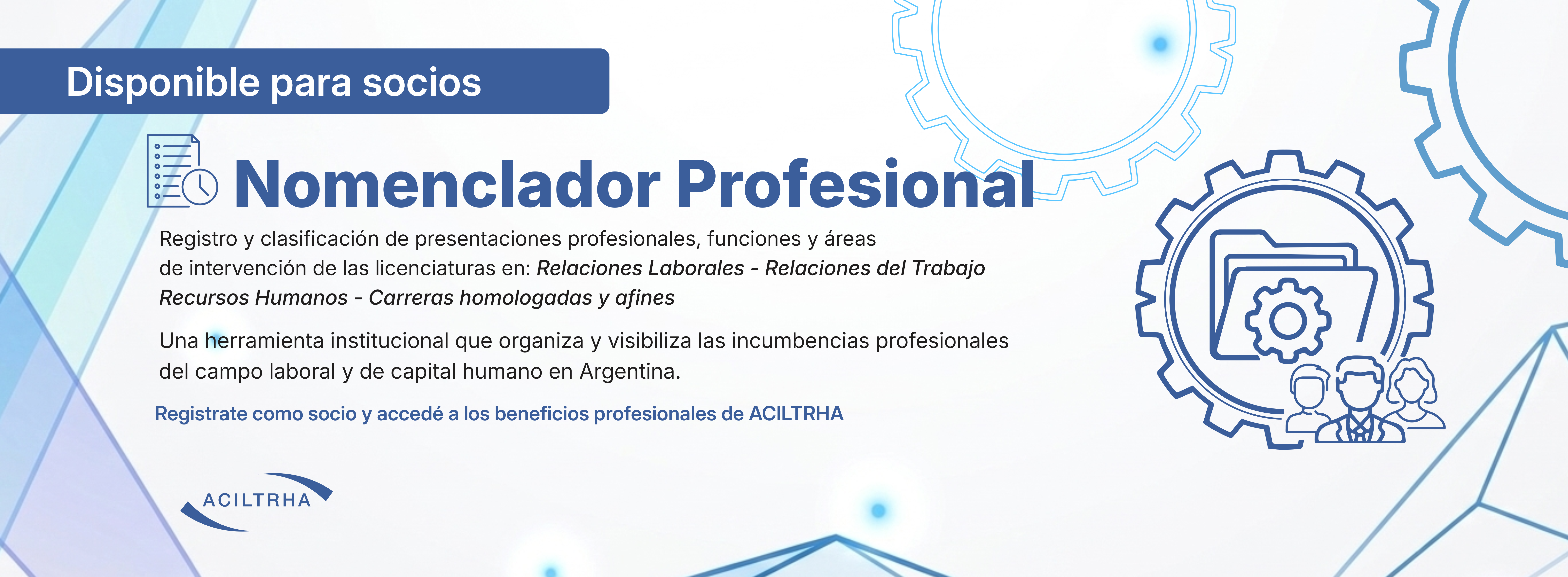 Nomenclador profesional